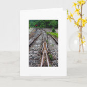 FAP307 カード (黄色い花)