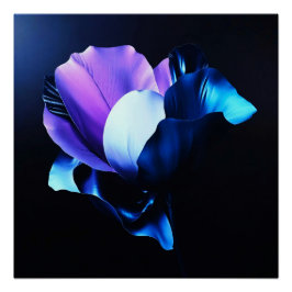 Farbig Strahlende Blüten in Dunkelheit ポスター