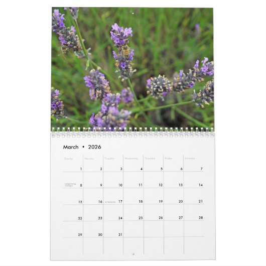 Farbzauber Lavendel カレンダー (3月 2026)