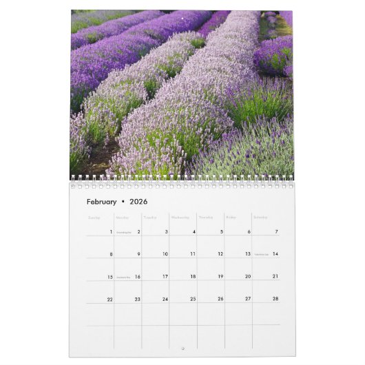 Farbzauber Lavendel カレンダー (2月 2026)