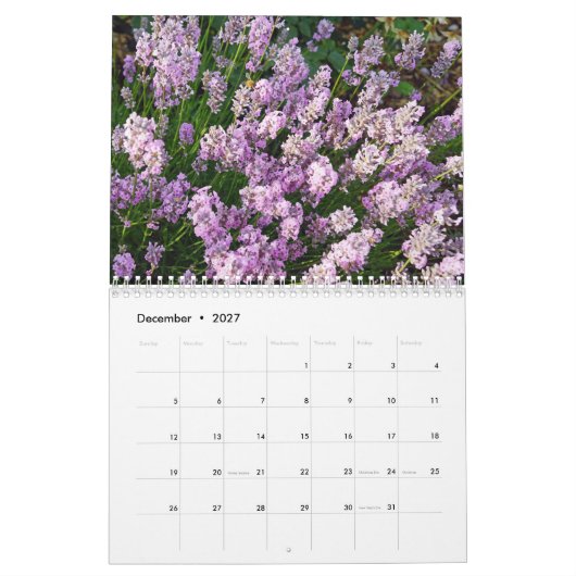 Farbzauber Lavendel カレンダー (12月 2027)