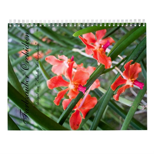 Farbzauber Orchideen カレンダー (裏面)