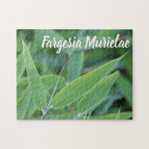 Fargesia murielae庭師ギフト用の竹植物 ジグソーパズル