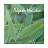 Fargesia murielae庭師ギフト用の竹植物 タイル (正面)