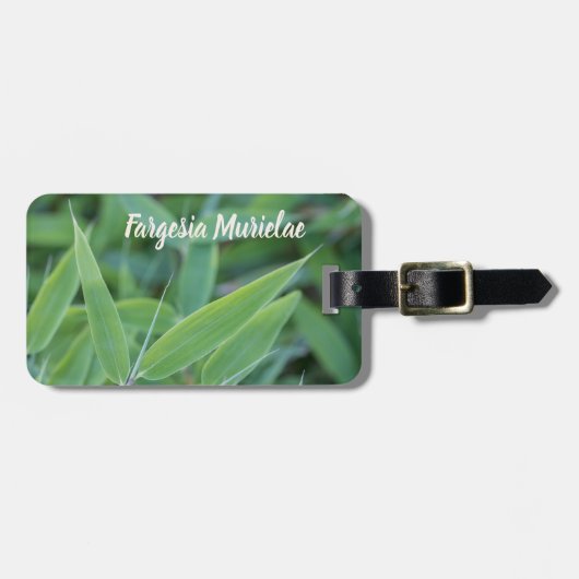 Fargesia murielae庭師ギフト用の竹植物 ラゲッジタグ (正面横)