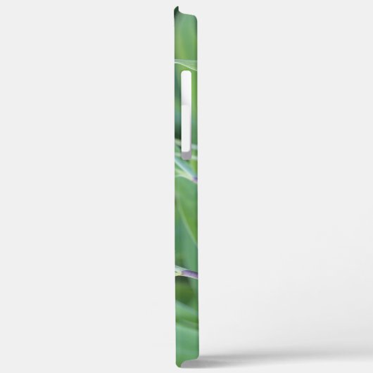 Fargesia murielae庭師ギフト用の竹植物 Case-Mate iPhoneケース (裏面 / 左)