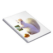 Farlandia Ozetteの運命からの物語 ノートブック (右側)