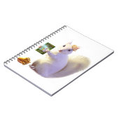 Farlandia Ozetteの運命からの物語 ノートブック (左側)