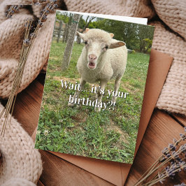 Farm Animal Sheep Cute Barnyard Funny Birthday  カード