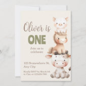 Farm Animals 1st Birthday Barnyard Baby Boy 招待状 (正面)