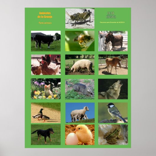 Farm Animals Poster .Animales de la granja ポスター (正面)