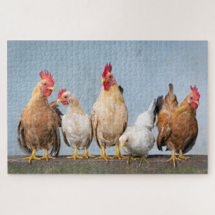 Farm Chickens Roosters Nature Animals Cute ジグソーパズル