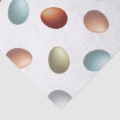 Farm Eggs tissue paper 薄葉紙 (詳細)