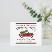 Farm fresh Christmas trees  シーズンポストカード (スタンド正面)