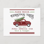 Farm fresh Christmas trees  シーズンポストカード (正面)