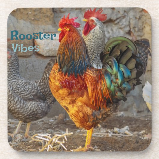 Farm Life Rooster Vibes Hard Plastic Coasters コースター (正面)