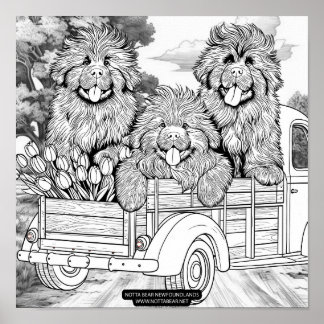 Farm truck Newfoundland Puppies with tulips ポスター
