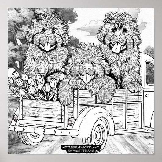 Farm truck Newfoundland Puppies with tulips ポスター (正面)