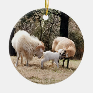 Farmhouseクリスマス セラミックオーナメント