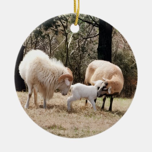 Farmhouseクリスマス セラミックオーナメント (正面)