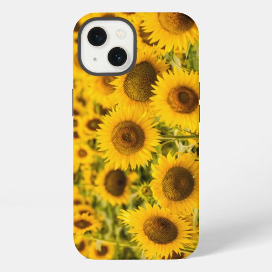 Farms | ひまわりの畑 iPhoneケース (裏面)