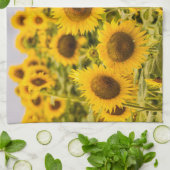Farms | A Sunflower Field キッチンタオル (折り畳み)