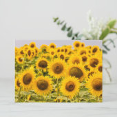 Farms | A Sunflower Field サンキューカード (スタンド正面)