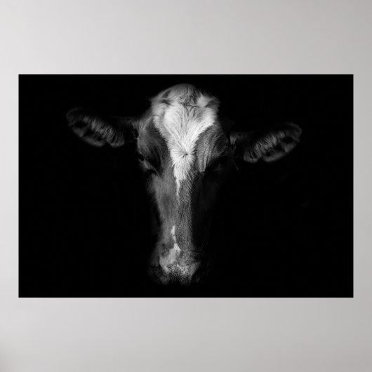 Farms | B&W Cow Head Shot ポスター (正面)