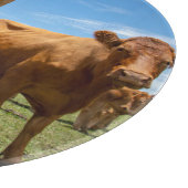 Farms | Brown Cow Group カッティングボード (角)