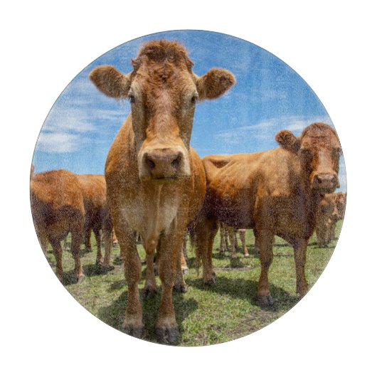 Farms | Brown Cow Group カッティングボード (正面)