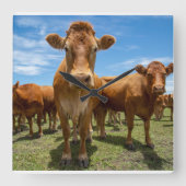 Farms | Brown Cow Group スクエア壁時計 (正面)