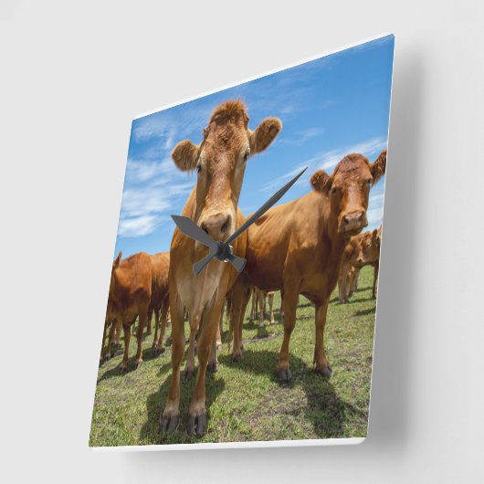 Farms | Brown Cow Group スクエア壁時計 (傾斜)