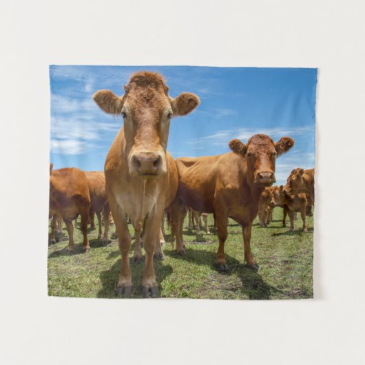 Farms | Brown Cow Group タペストリー (正面(横))