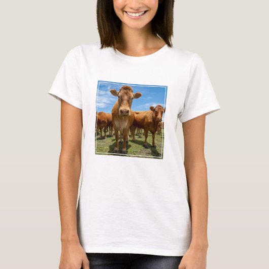Farms | Brown Cow Group Tシャツ (正面)