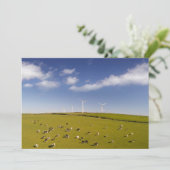 Farms | Cows Near Windmill Farm サンキューカード (スタンド正面)