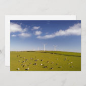 Farms | Cows Near Windmill Farm サンキューカード (正面/裏面)