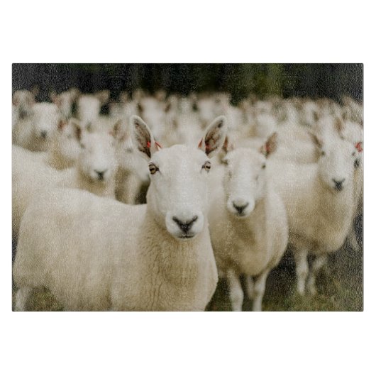 Farms | Herd of Sheep カッティングボード (正面)