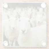 Farms | Herd of Sheep ガラスコースター (裏面)