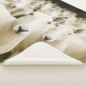 Farms | Herd of Sheep シェルパブランケット (3/4)