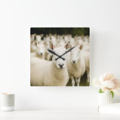 Farms | Herd of Sheep スクエア壁時計 (ホーム)