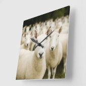 Farms | Herd of Sheep スクエア壁時計 (傾斜)