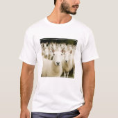 Farms | Herd of Sheep Tシャツ (正面)