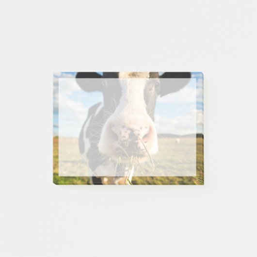 Farms | Holstein Cow Chewing ポストイット (正面)