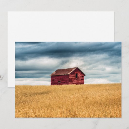 Farms | Old Red Barn サンキューカード (正面/裏面)