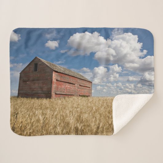 Farms | Old Red Barn in Wheat Field シェルパブランケット (正面(横))