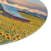 Farms | Sunflower Field カッティングボード (角)