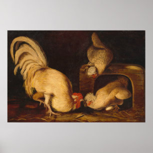 Farmyard Fowls, John James Audubonファインアートポスター ポスター
