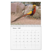 Fasane als Kalender カレンダー (2月 2027)
