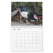 Fasane als Kalender カレンダー (3月 2027)