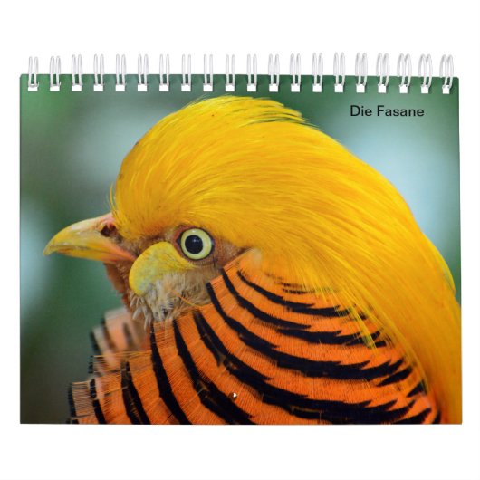 Fasane als Kalender カレンダー (カバー)